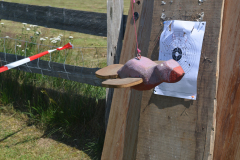 kinderfest_2019_50_20190709_1020603474