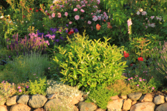 Köthel als Blickfang