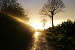 IMG_20200501_201642_resized_20200924_125202865