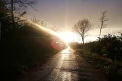 IMG_20200501_201703_resized_20200924_125205804