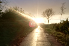 IMG_20200501_201706_resized_20200924_125205247