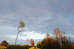 IMG_20200501_201947_resized_20200924_125207162