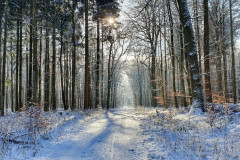 Winter 2020/2021