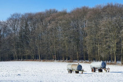 Winter 2020/2021