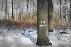 Winter 2020/2021